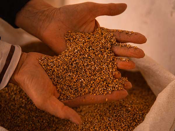 Distributore-farina-bramata-in-confezioni-da-50-kg-modena