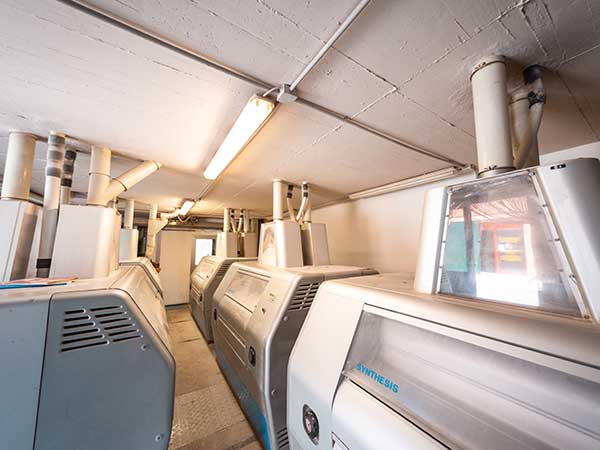 Pulitura-e-lavaggio-del-grano-modena